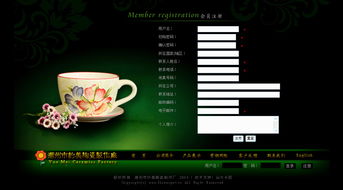 潮州市約美陶瓷制作廠網站建設 打造數字化品牌新窗口